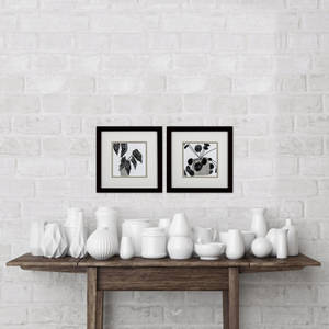 Picture of Plantling B Wall Art Set