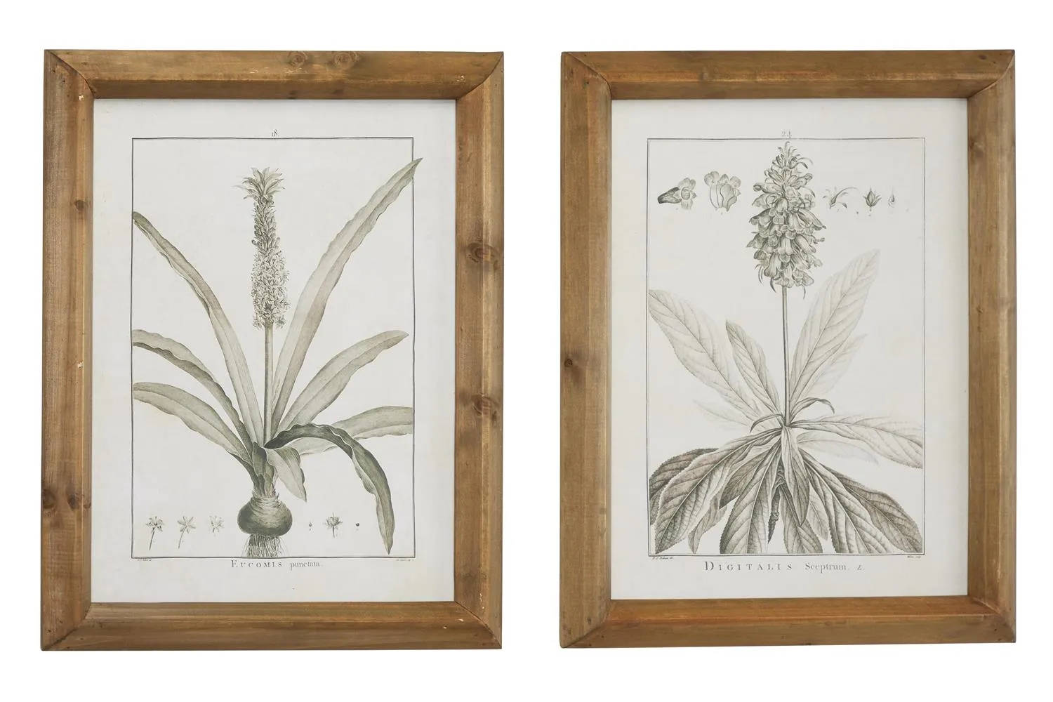 Picture of Framed Wall Art Set