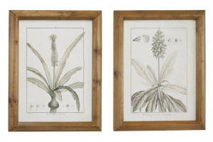 Picture of Framed Wall Art Set
