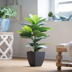 Picture of Faux Fiddle Leaf Fig Plant