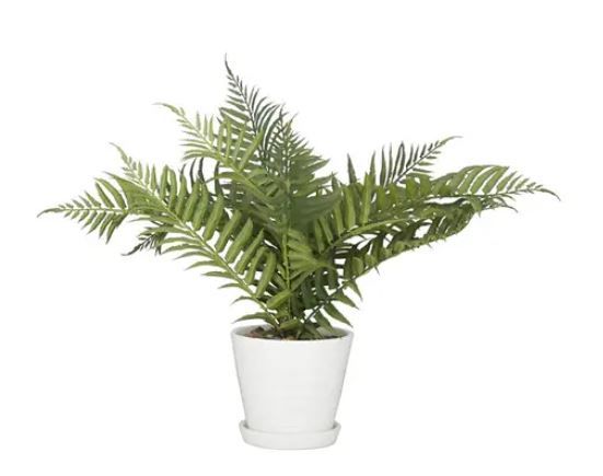 Picture of Faux Fern Plant
