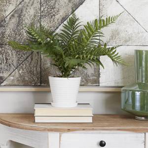 Picture of Faux Fern Plant