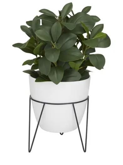 Picture of Faux Eucalyptus Plant