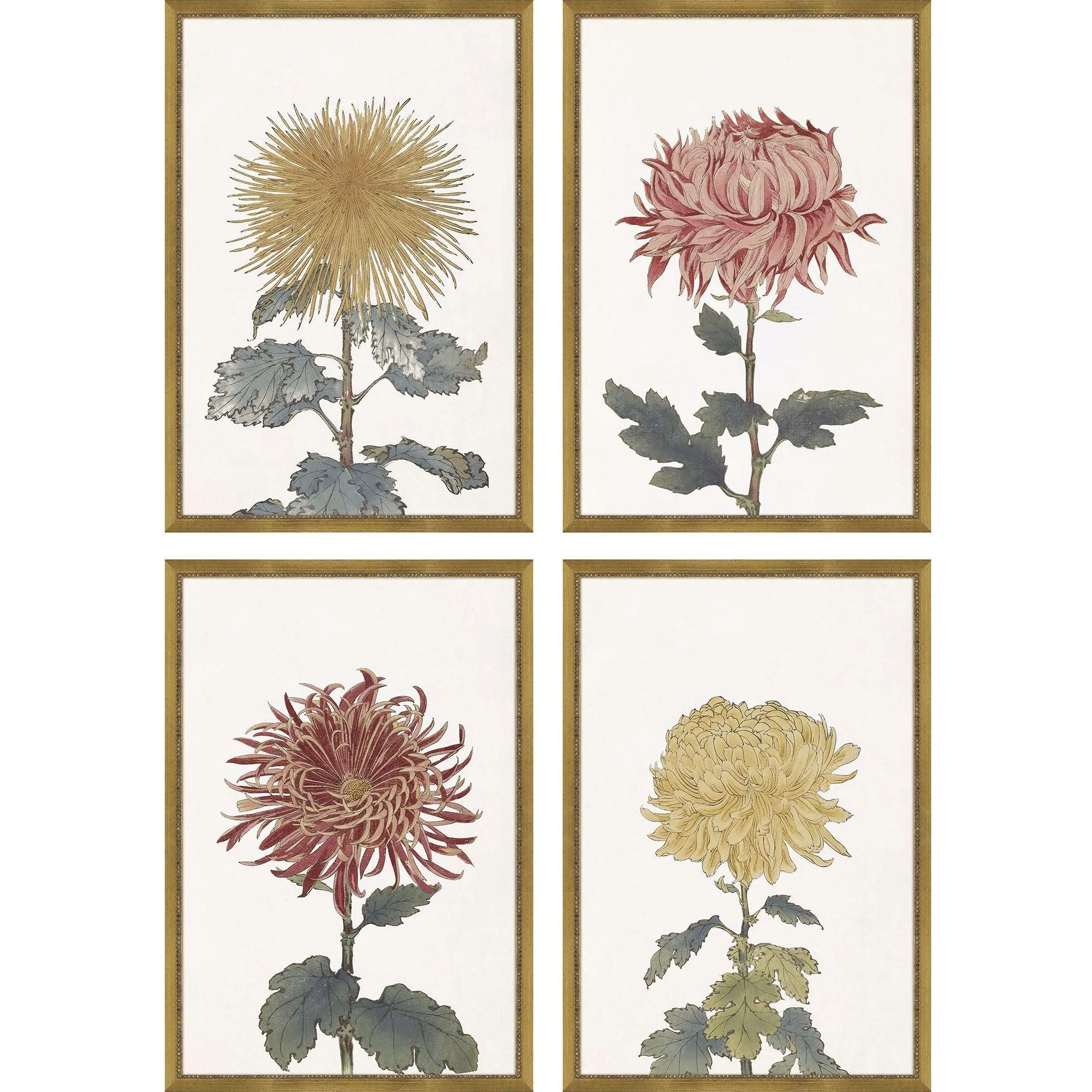 Picture of Chrysanthemum Wall Art Set