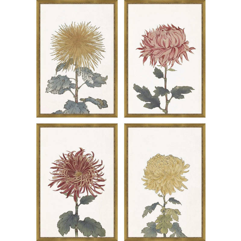 Picture of Chrysanthemum Wall Art Set
