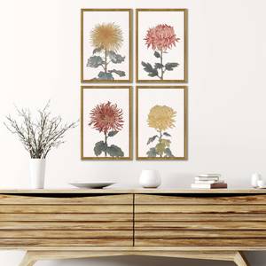 Picture of Chrysanthemum Wall Art Set