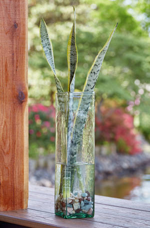 Picture of Taylow Vase