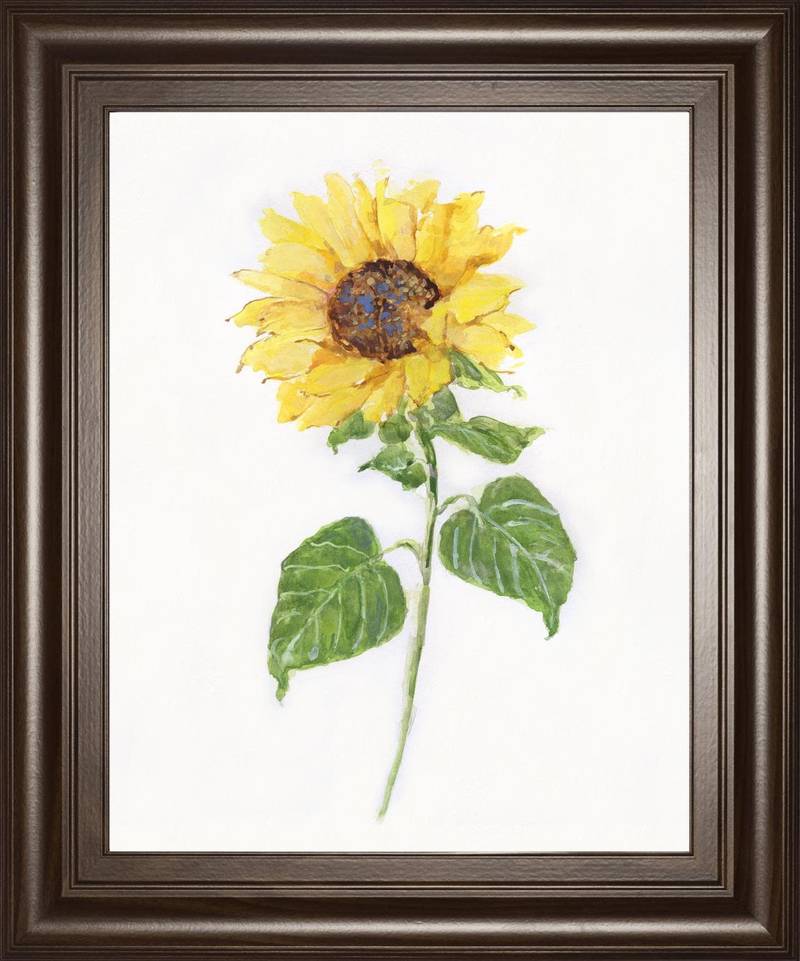 Picture of Sunflower II Wall Art