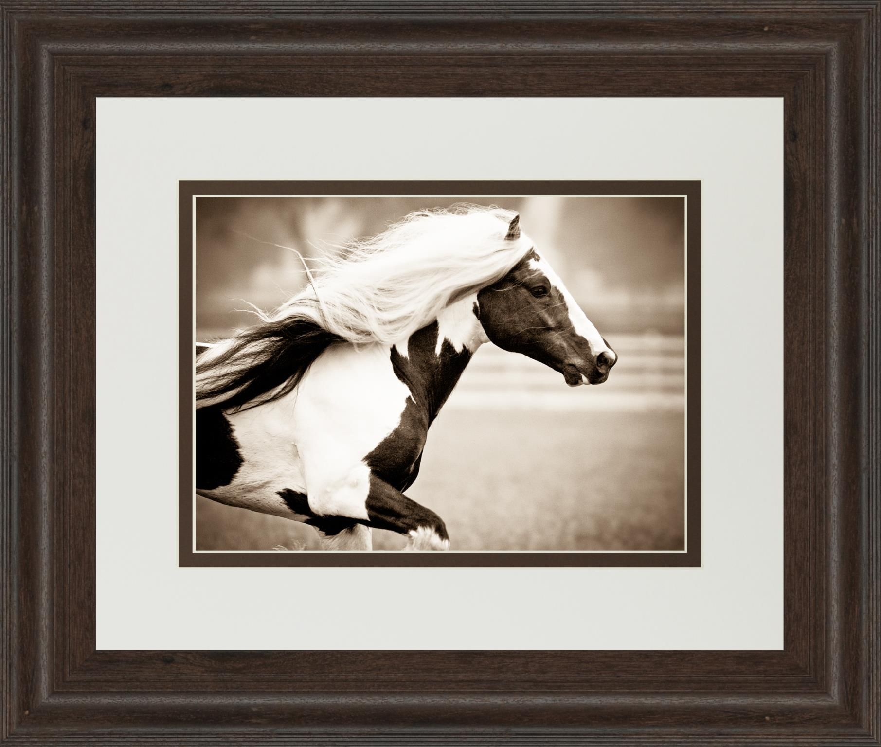 Picture of Gypsies Pride Wall Art