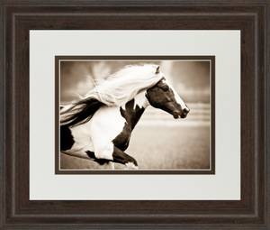 Picture of Gypsies Pride Wall Art