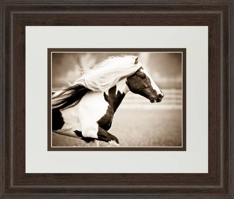 Picture of Gypsies Pride Wall Art