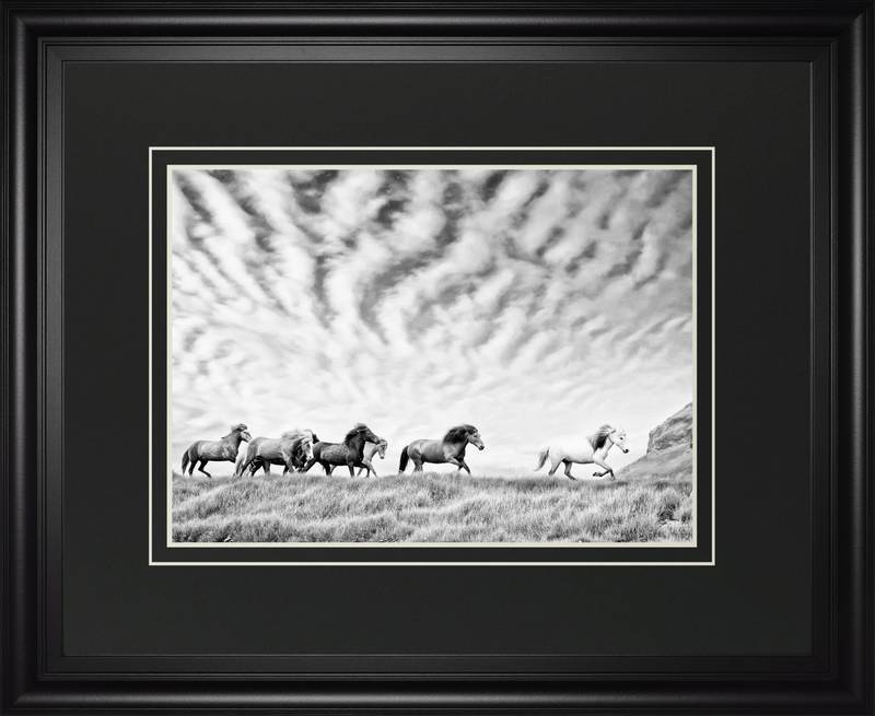 Picture of Horse Run III Wall Art