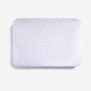 Picture of Balance 1.0 Queen Pillow