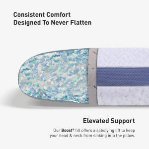 Picture of Balance 2.0 Queen Pillow