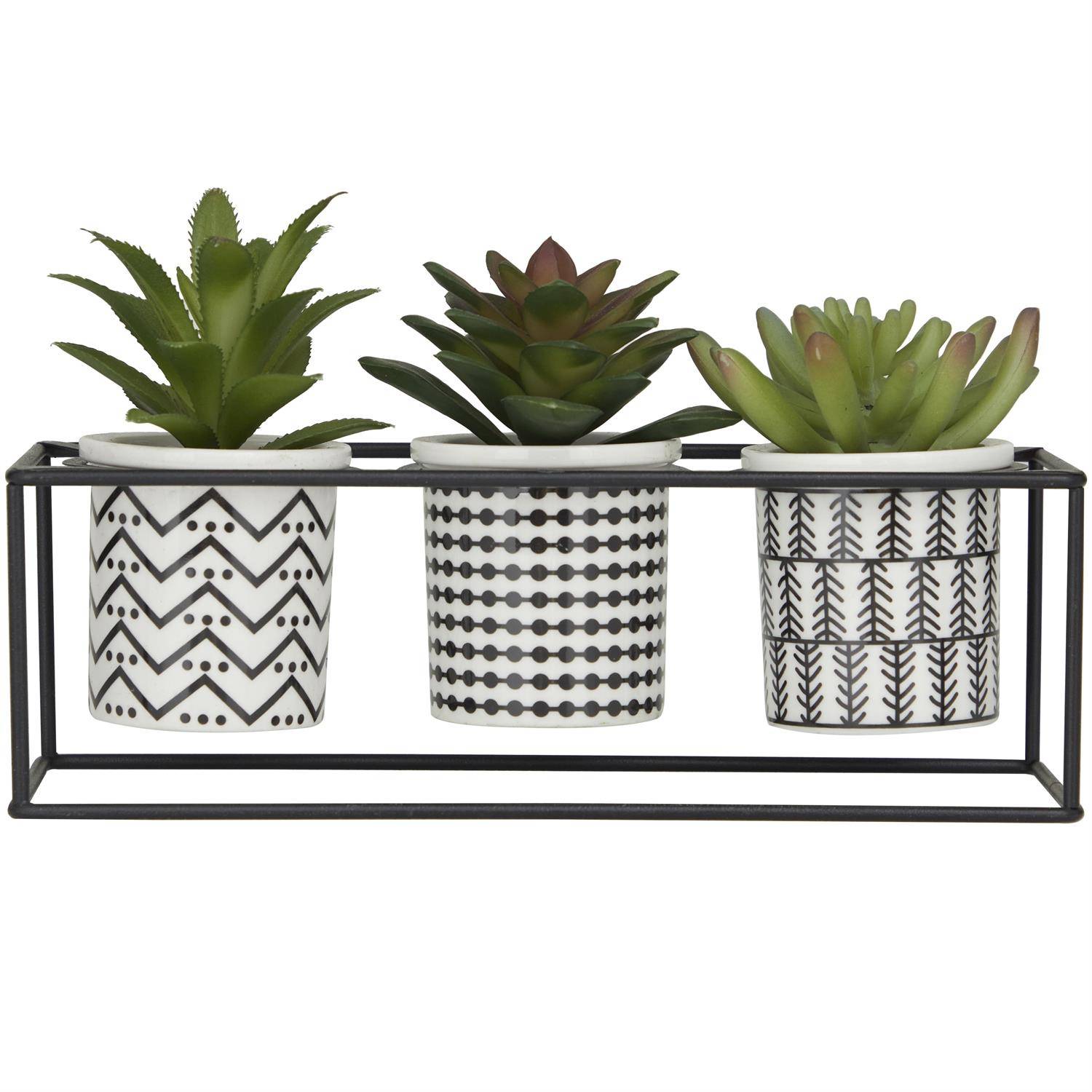 Picture of Faux Succulents in Pots
