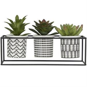 Picture of Faux Succulents in Pots