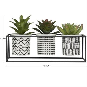Picture of Faux Succulents in Pots