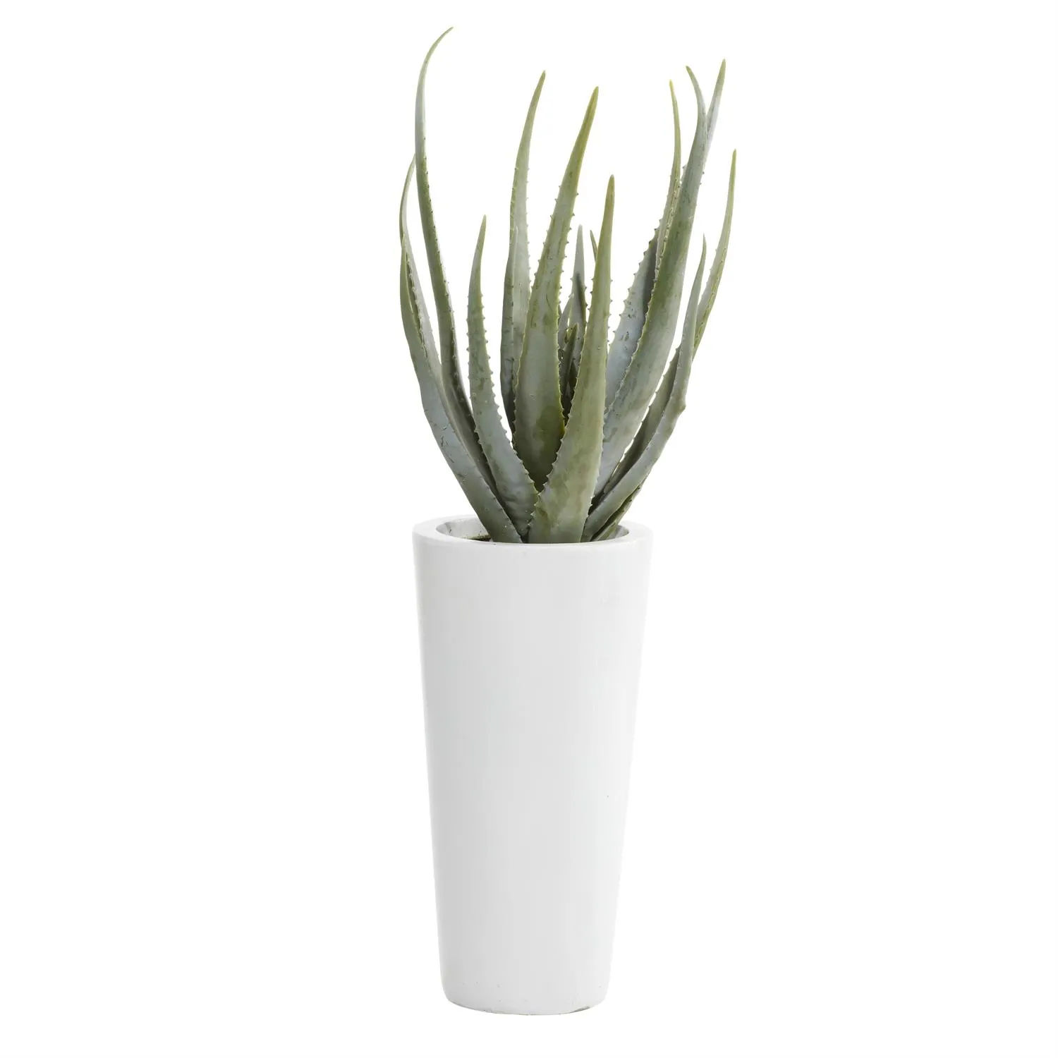 Picture of Faux Aloe Vera Plant