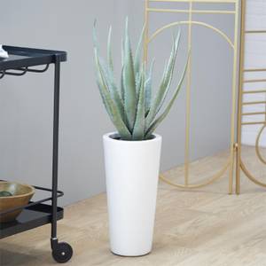 Picture of Faux Aloe Vera Plant