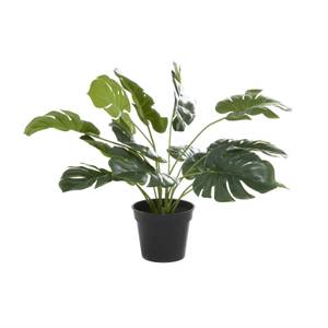 Picture of Faux Monstera Plant