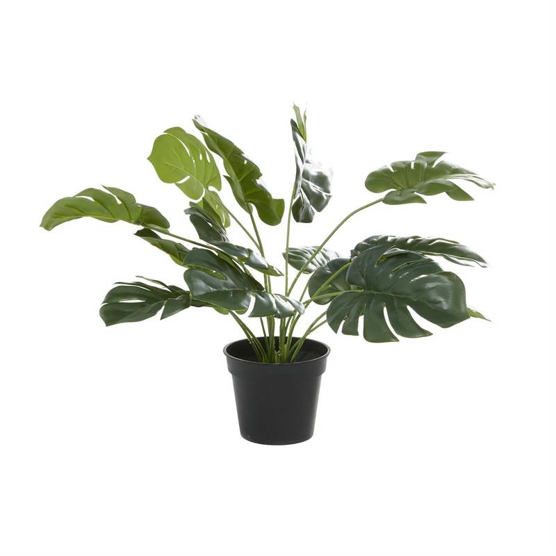 Picture of Faux Monstera Plant