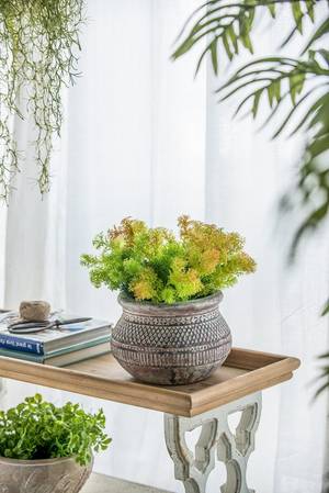 Picture of Planter