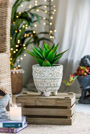 Picture of Planter