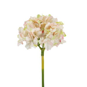 Picture of 14" Hydrangea