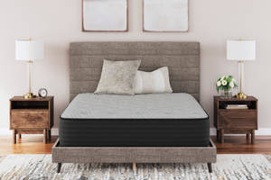 Picture of Palisades Plush Queen Mattress