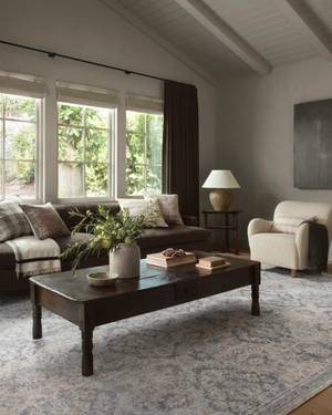 Picture of Amber Lewis x Loloi Zuma 5'3" x 7'9" Rug