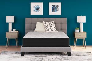 Picture of Elite Springs Firm Cal-King Mattress