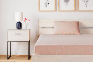 Picture of iKidz Twin Mattress & Pillow