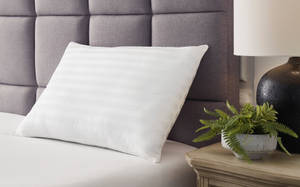 Picture of Zephyr 2.0 Cotton Pillow