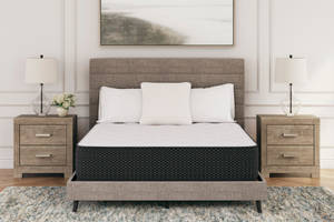 Picture of Limited Edition Plush Twin Mattress