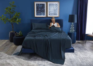 Picture of Basic King Sheet Set