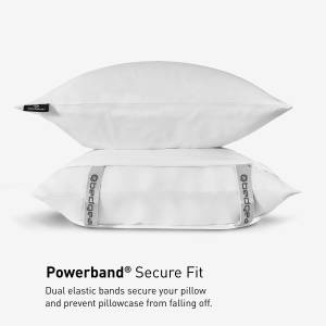 Picture of Dri-Tec Queen Sheet Set