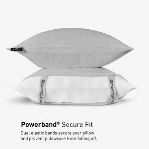 Picture of Dri-Tec Queen Sheet Set