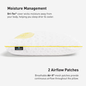 Picture of Level 0.0 Pillow