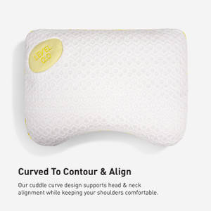 Picture of Level 0.0 Pillow
