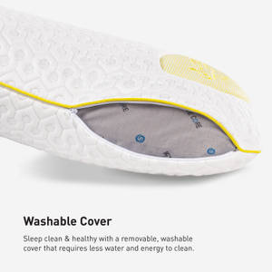 Picture of Level 0.0 Pillow