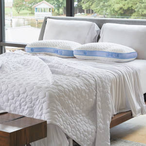 Picture of Level 1.0 Pillow