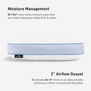 Picture of Level 1.0 Pillow