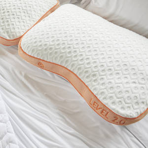 Picture of Level 2.0 Pillow