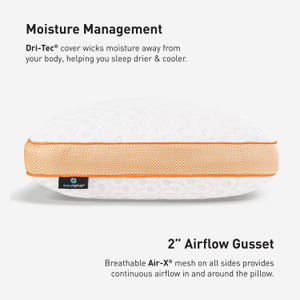 Picture of Level 2.0 Pillow