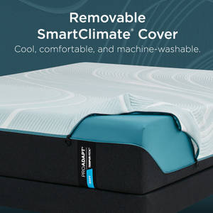 Picture of ProAdapt 2.0 Soft Twin Mattress