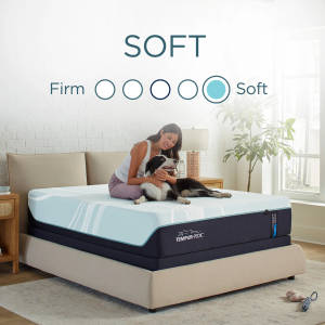 Picture of LuxeAdapt 2.0 Soft Queen Mattress