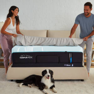 Picture of LuxeAdapt 2.0 Soft Queen Mattress