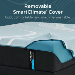 Picture of LuxeAdapt 2.0 Soft Queen Mattress