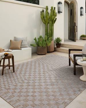 Picture of Amber Lewis x Loloi Topanga 7'10" x 10' Rug