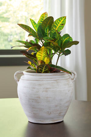 Picture of Meadie Vase